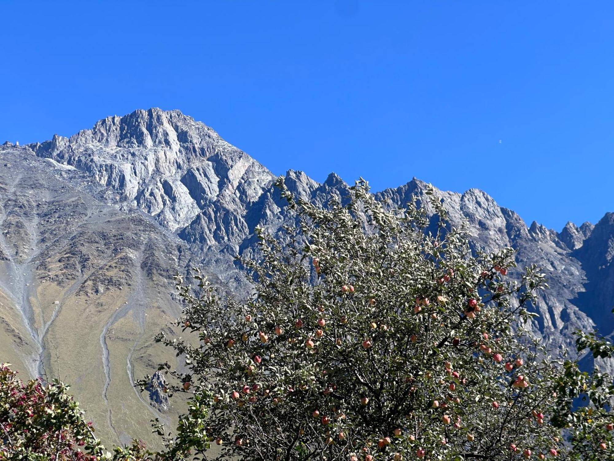 Hotel Mountime Kazbegi Экстерьер фото